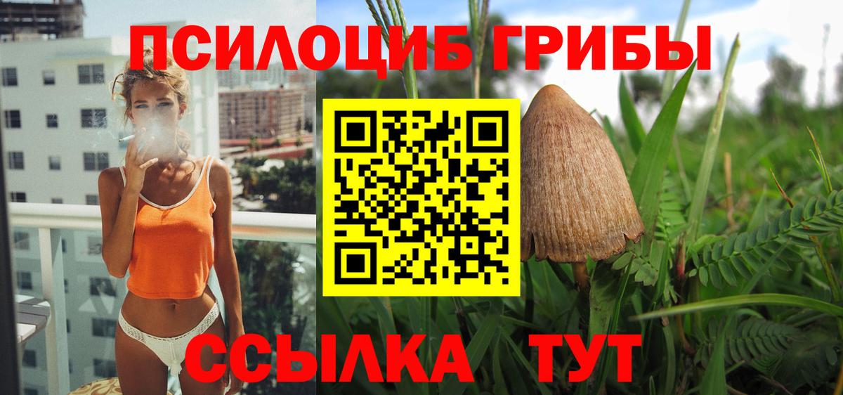 Псилоцибиновые грибы мицелий Каменск-Шахтинский